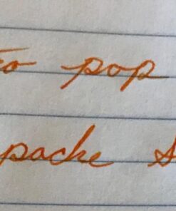 PILOT MR Retro Pop Collection Fountain Pen in Gift Box, Orange Barrel with Flower Accent, Fine Point Stainless Steel Nib, Refillable Black Ink (91433) Marigold/Flower Fine Nib 23 71mFkso0TL