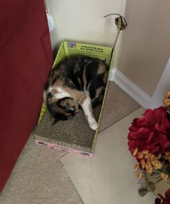 Petmate FAT CAT Big Mama's Scratch 'n Play Ramp Reversible Cardboard Toy 30 71mGMAKv iL