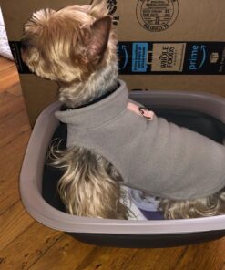 Progressive International Prepworks Collapsible Portable Wash Basin Dishpan Dish Tub 55 71mHdOi6vqL