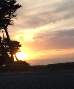 BETCKEY - Compatible DYMO 30915 (1-5/8" x 1-1/4") Endicia Internet Postage Stamps Labels(Paid Endicia Users ONLY) - 10 Rolls/7000 Labels 13 71mHlM7nQQL