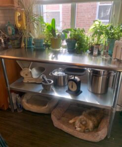 ROCKPOINT Stainless Steel Table for Prep & Work with Backsplash 60x24 Inches, NSF Metal Commercial Kitchen Table with Adjustable Under Shelf and Table Foot for Restaurant, Home and Hotel 60x24inch 64 71mJBWftUxL