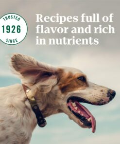 NUTRO NATURAL CHOICE Small Bites Adult Dry Dog Food, Lamb & Brown Rice Recipe Dog Kibble, 30 lb. Bag 27 71mJQHu1i9L 1