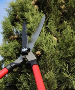TABOR TOOLS B212A Telescopic Hedge Shears with Wavy Blade and Extendable Steel Handles. Extendable Manual Hedge Clippers for Trimming Borders, Boxwood, and Tall Bushes. B212A Extendable Hedge Shears 26 71mK4VDDMDL
