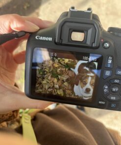 Canon EOS Rebel T7 DSLR Camera with 18-55mm Lens | Built-in Wi-Fi | 24.1 MP CMOS Sensor | DIGIC 4+ Image Processor and Full HD Videos 53 71mKUQcWn1L