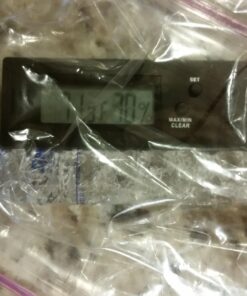 Drymistat Humidor Humidifier Tubes Set Your Humidor to 70% Humidity (Pack of 2) 27 71mLVIg1xTL