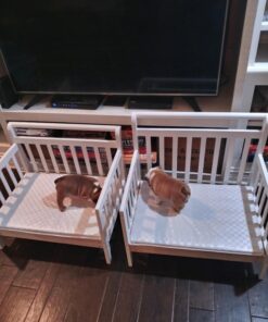 Dream On Me Emma 3 in 1 Convertible Toddler Bed in White 56x29x28 Inch,29x29x18 Inch 37 71mLi3Cr3SL