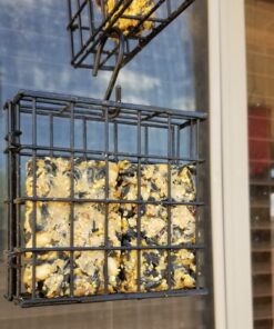 More Birds Suet Cage Bird Feeder, Fruit and Suet Feeder, Single Cake Capacity ,Black Black 28 71mN4DQQDwL 3