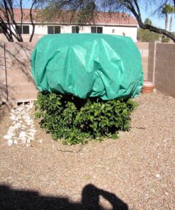 NuVue Products 24171 Winter Wrap, 12' 12" 7 71mP7KuVb0L