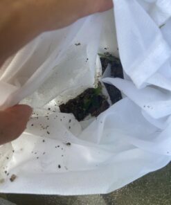 Perfect Pools Pool Spa Jacuzzi Pond Mini Jet Vac Vacuum Cleaner w/ Brush, Bag, and 4' Pole 42 71mPnVGLr0L