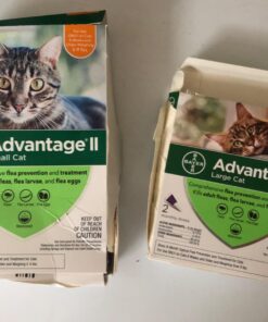 Advantage II Large Cat Vet-Recommended Flea Treatment & Prevention | Cats Over 9 lbs. | 2-Month Supply 2 Pack Large Cat only 41 71mQ6tdmykL 5