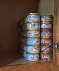 Purina Fancy Feast Gravy Lovers - 3 oz. Can Chicken Hearts & Liver 3.00 Ounce (Pack of 24) 27 71mRvjIJ7CL