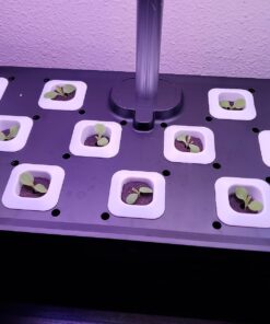 Indoor Garden Hydroponics Growing System, DUESI Upgrade 12 Pods Plant Germination Herb Kit with LED Grow Light, Hydrophonic Planter Grower Harvest Vegetable Lettuce for Hydroponic Gardeners (12 Pods) 47 71mSJp4utSL