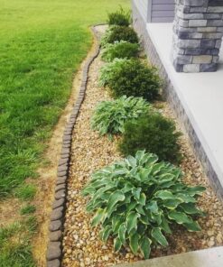 AHG Garden Weeds 3ft x 300ft / 20 YR Premium Series Landscape Fabric, 3 feet x 300 feet, black 34 71mSWMwKeUL