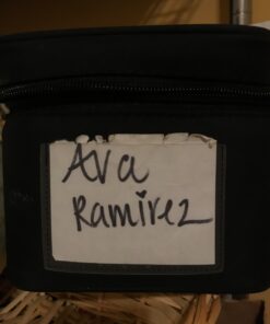 Medela Breastmilk Cooler Set 32 71mTM8NBd3L