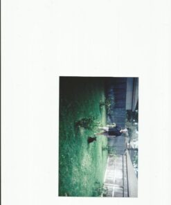 GREENIES Original Regular Natural Dog Dental Care Chews Oral Health Dog Treats, 27 oz. Pack (27 Treats) 27 Count (Pack of 1) 50 71mUADYd L