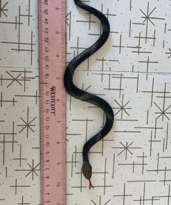 Rhode Island Novelty 14" Rain Forest Snakes | Assorted Designs | Set of 12 25 71mUSqqovZL