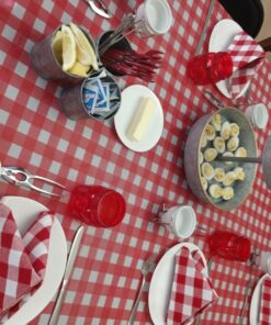 Oojami Pack of 4 Plastic Red and White Checkered Tablecloths - 4 Pack - Picnic Table Covers 54" x 108" Rectangle 26 71mWBm8AVwL