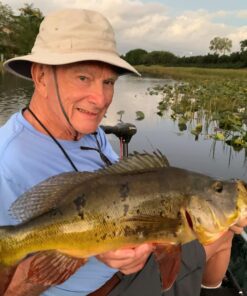 Newport NV-Series Thrust Saltwater Transom Mounted Trolling Electric Trolling Motor w/LED Battery Indicator 55lb Thrust 22 71mZLoSpR L