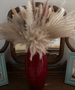 Dxhycc 32 PCS 1 Set Vintage Retro Old Travel Postcards for Worth Collecting 30 71mfHn36DqL