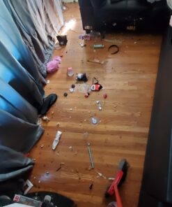 BLACK+DECKER Polisher, 6 inch, 2 Handle Grip, Swappable Wool or Foam Bonnets, 10-foot Chord for Easy Mobility (WP900) Waxer 44 71mfbGTveSL