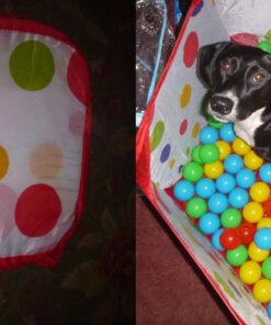 KUUQA Kids Ball Pit Pool Play Tent with Zippered Storage Bag for Toddlers, Pets 3.28Ft (Balls not Included) Red 31 71mg OG f1L
