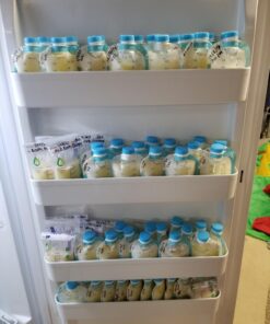 Kiinde Twist Pouch Direct-Pump Direct-Feed Twist Cap Breast Milk Storage Bags for Pumping, Freezing, Heating and Feeding, Pre-Sterilized, 6 Ounce, Pack of 40 6oz 6 Ounce (Pack of 40) 45 71mi2Z7hcdL