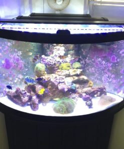 Current USA 36-48" Inch Orbit Marine LED Saltwater Reef Marine Aquarium Light | 24 Hour IR Lighting & eFlux Wave Pump Control | Adjustable Color Spectrum for Fish Tank (4102) Black 36 to 48-Inch 48 71miwUU2jL 2