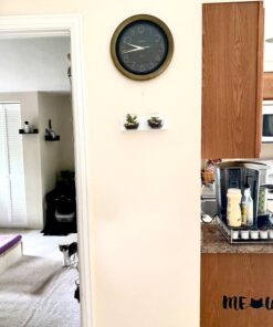 MyGift Assorted Artificial Succulent Fake Plant in Small Clear Glass Display Vases, Set of 4 45 71mjoYTKMyL