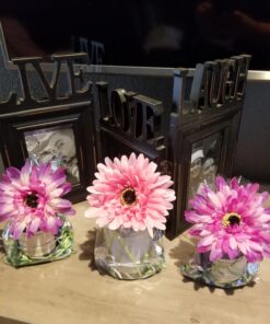 100 Pcs 10 in x 6 in(1.4mil.) Clear Flat Cello Cellophane Treat Bags Good for Bakery, Cookies, Candies,Dessert with 5 random Twist Ties! 100PCS(10x6 Inch) 40 71mppyC4tNL