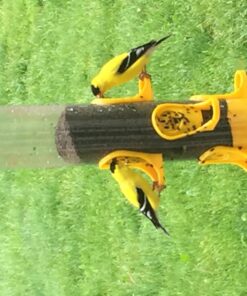 Stokes Select Thistle Tube Bird Feeder with Six Feeding Ports, Yellow, 1.6 lb Capacity - 38224, small 15 71mpro4T1XL