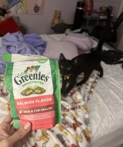 FELINE GREENIES SMARTBITES Skin & Fur Crunchy and Soft Natural Cat Treats, Salmon Flavor, 2.1 oz. Pack 2.1 Ounce (Pack of 1) 34 71mq84lD DL