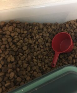 IAMS Adult High Protein Large Breed Dry Dog Food with Real Chicken, 30 lb. Bag 30 Pound (Pack of 1) 35 71mqFcuvWRL