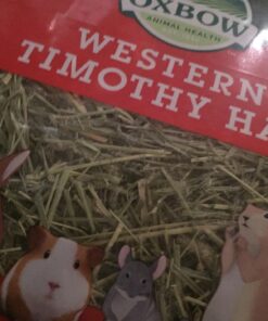 Oxbow Animal Health Western Timothy Hay- Veterinarian Recommended- Hay for Rabbits, Chinchillas, Guinea Pigs & Other Small Pets- Grown in the USA- Premium Quality Natural Hay- Fiber Rich- 40 Oz 2.5 Pound (Pack of 1) 54 71mqS jt22L 1