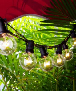 On'h String Lights, 25Ft G40 Globe String Lights with Bulbs-UL Listed for Indoor/Outdoor Commercial Decor Black Wire