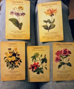 Botanical Inspirations Deck & Book Set 71 71mtvyCb92L