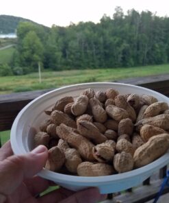 Hampton Farms - USA Grown All-Natural - Fancy Roasted In-Shell Unsalted Peanuts - 5 lb. Bag Basic pack 38 71mvdZ6KJL