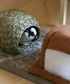 Oxbow Animal Health Timothy Hay Bungalow - Large Large (Pack of 1) 32 71mwS3wk7hL