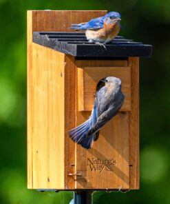 Alternative view of Nature's Way Bird Products CWH3 Cedar Bluebird Box House Dark Wood