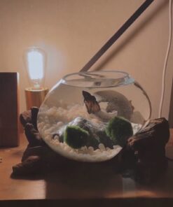 Penn-Plax Deco-Replicas Granite Aquarium Ornament & Hideaway – Realistic Stone Appearance – Safe for Freshwater and Saltwater Tanks – Small Size, White (RR1071) 44 71n KhtqViL