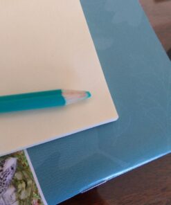 Crayola Colored Pencils, 50 Count 50 Count (Pack of 1) 68 71n ntEdvuL