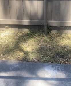 BLACK+DECKER String Trimmer with Auto Feed, Electric, 6.5-Amp, 14-Inch (BESTA510) 35 71n5 PEJu9L