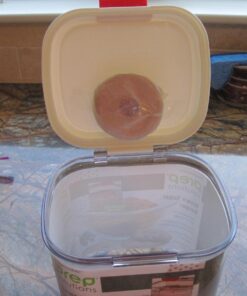 Prep Solutions by Progressive Brown Sugar Keeper with Lid, 1.5 Quarts 1.5 Quart 39 71n9HnzVmSL