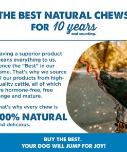 Best Bully Sticks All Natural Dog Chews - 5-6 Inch Curly Bully Sticks - USA Baked & Packed - Highly Digestible, Limited Ingredient, Rawhide Alternative Dog Chew - 12 Pack 5-6 Inch (12 Pack) 12 71n9jDLk5pL