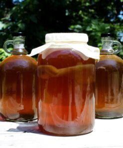 Cornucopia 1 Gallon Glass Kombucha Jar w/Cotton Cloth Cover & Plastic Lid for Storage after Brewing 16 71n9uktWRRL