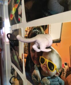 Kikkerland Magnetic Funny Cat Butt Refrigerator Decorative Magnets, Set of 6, Novelty Gift, Cat Lovers 46 71nBLVZeTtL