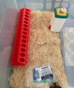 Little Giant® Plastic Poultry Feeder Base | 20 Inches | Heavy Duty Plastic Feeding Tray with Holes | Chicken Feeder Trough | Poultry Tray | Red 4 71nCDG4rSJL