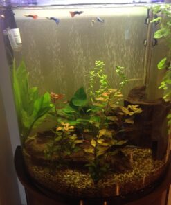 Seachem Flourish Potassium 500ml One size 41 71nHggIOL