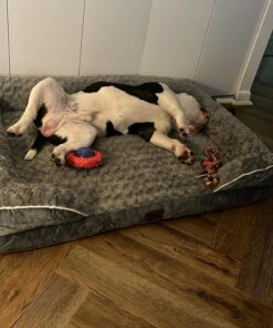 WNPETHOME Dog Beds for Extra Large Dogs, Washable, Bolster Sofa Bed with Waterproof Lining & Non-Skid Bottom, Orthopedic Egg Foam Couch for Pet Sleeping, Pet Bed 42.0"L x 30.0"W x 7.0"Th Grey 40 71nIhLOmiRL