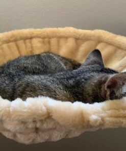 Go Pet Club Classic Cat Tree, Faux Fur Finish, Sisal Rope Scratcher, 62"H, Beige 47 71nPPxCTjoL