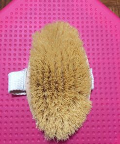 Gute Professional Dry Skin Body Brush, Dry Brush with Cactus/Vegetable Bristles (Firm/Extra Firm Bristles) 16 71nPxi2 uzL